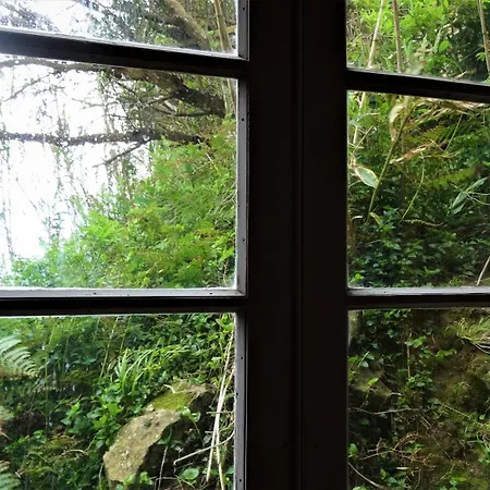 Homestay Quinta Maravista Faial da Terra